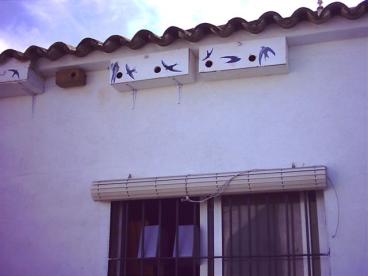 Swift nestboxes in Alcudia