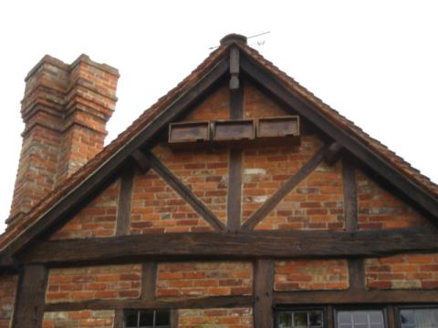 Henley on Thames Schwegler Swift Nestboxes