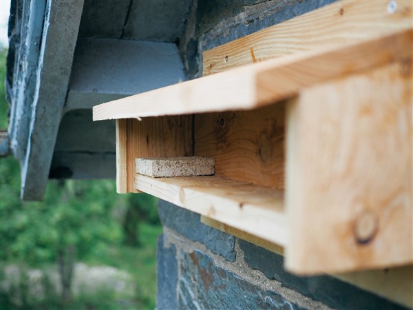 nestwood2