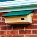 rspb_new_nestbox